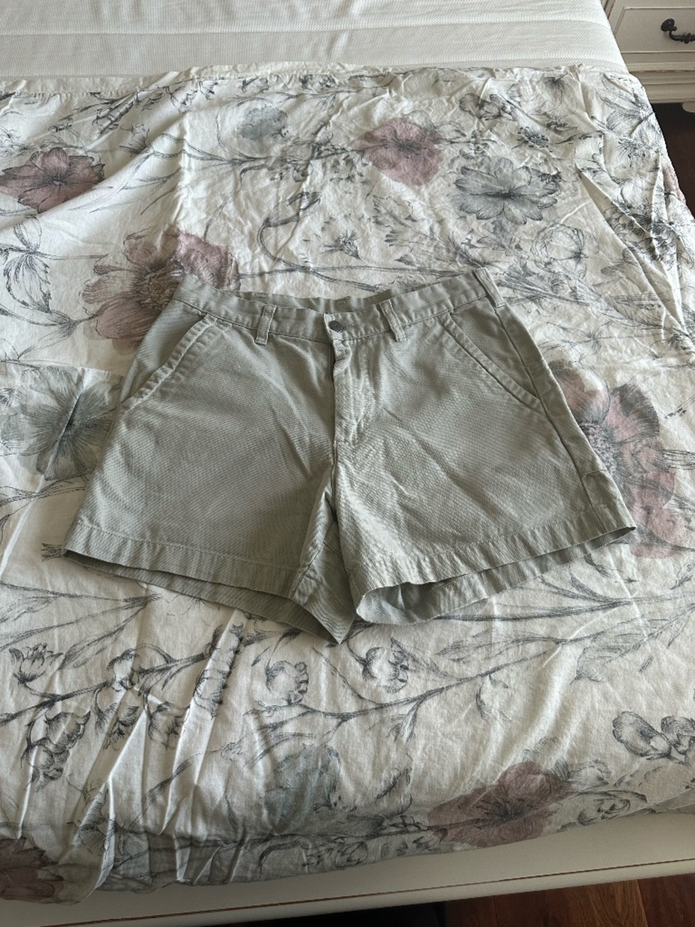 Patagonia Mens Shorts Size 31